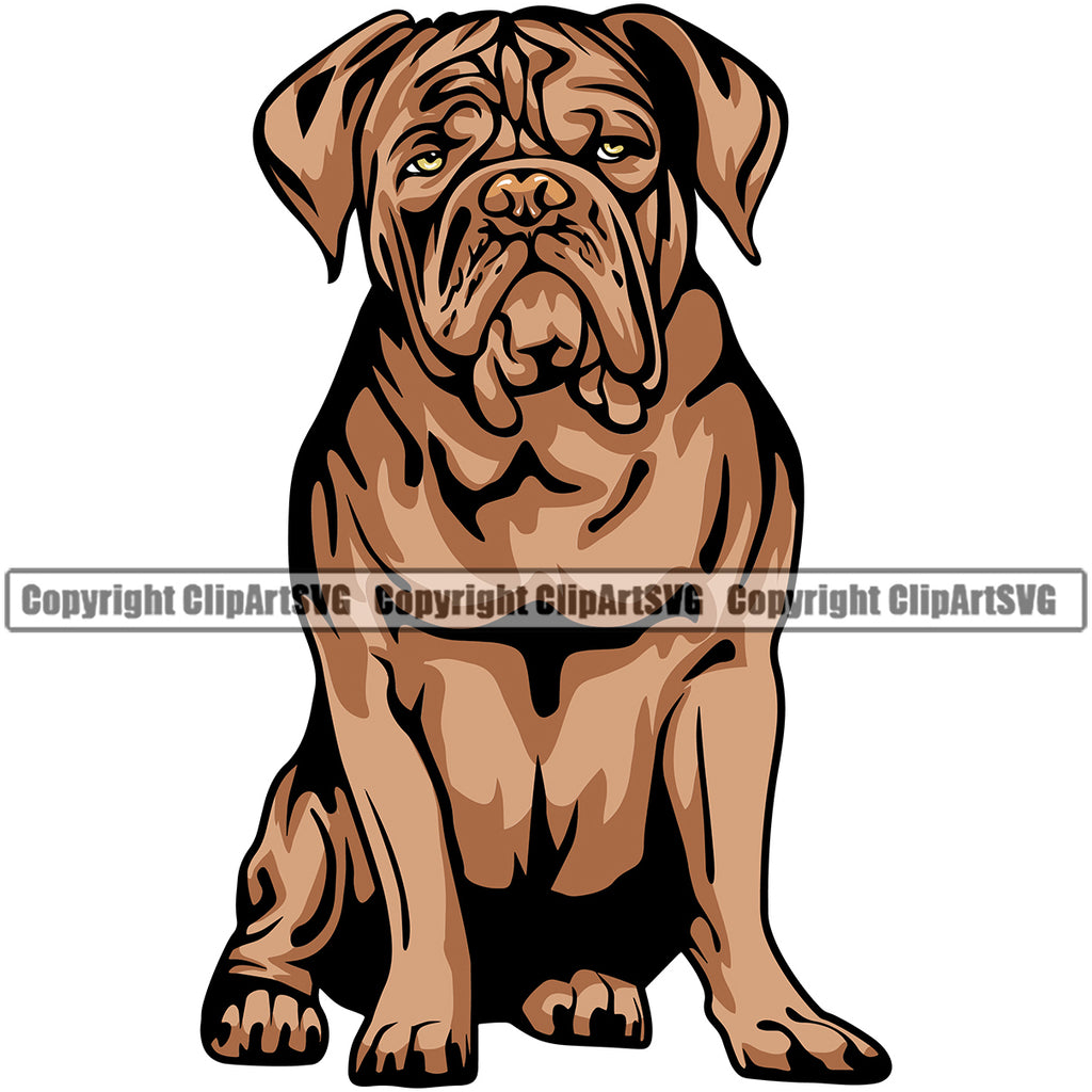 Dogue De Bordeaux Dog Sitting Vector Design Funny Face Pew Puppy Pup Pet Purebred Pedigree Portrait Vector Clipart SVG