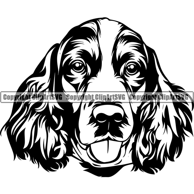 English Springer Spaniel Dog Head Vector Design Happy Face Paw Puppy Pup Pet Purebred Pedigree Vector Design Clipart SVG