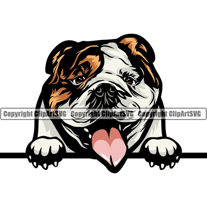 Bulldog Peeking Vector Design Cute Smile Face Paw Puppy Pup Pet Purebred Pedigree Vector Clipart SVG