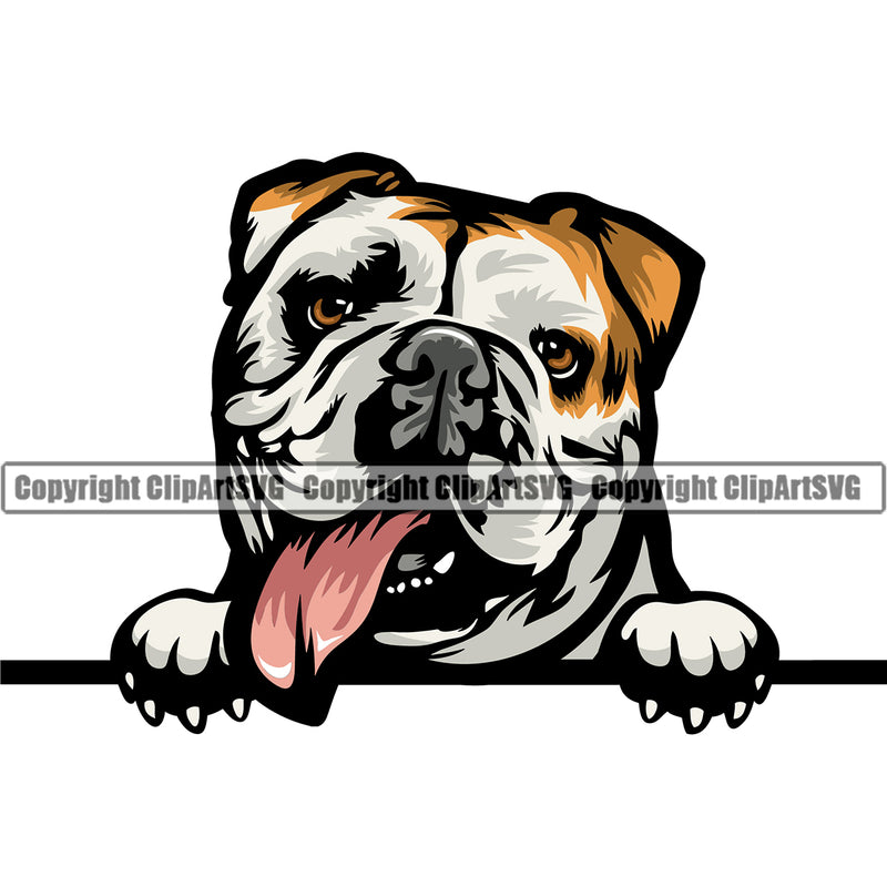 Bulldog Peeking And Tongue Sticking Out Smiling Face Vector Design Paw Puppy Pup Pet Purebred Pedigree Design Clipart SVG