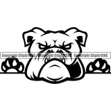 Bulldog Peeking Vector Design Angry Face Paw Puppy Pup Pet Purebred Pedigree Design Clipart SVG