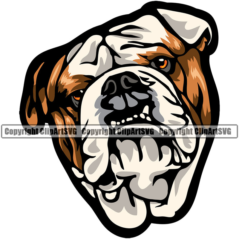 Bulldog Head Colorful Vector Design Angry Face Paw Puppy Pup Pet Purebred Pedigree  Design Element Clipart SVG