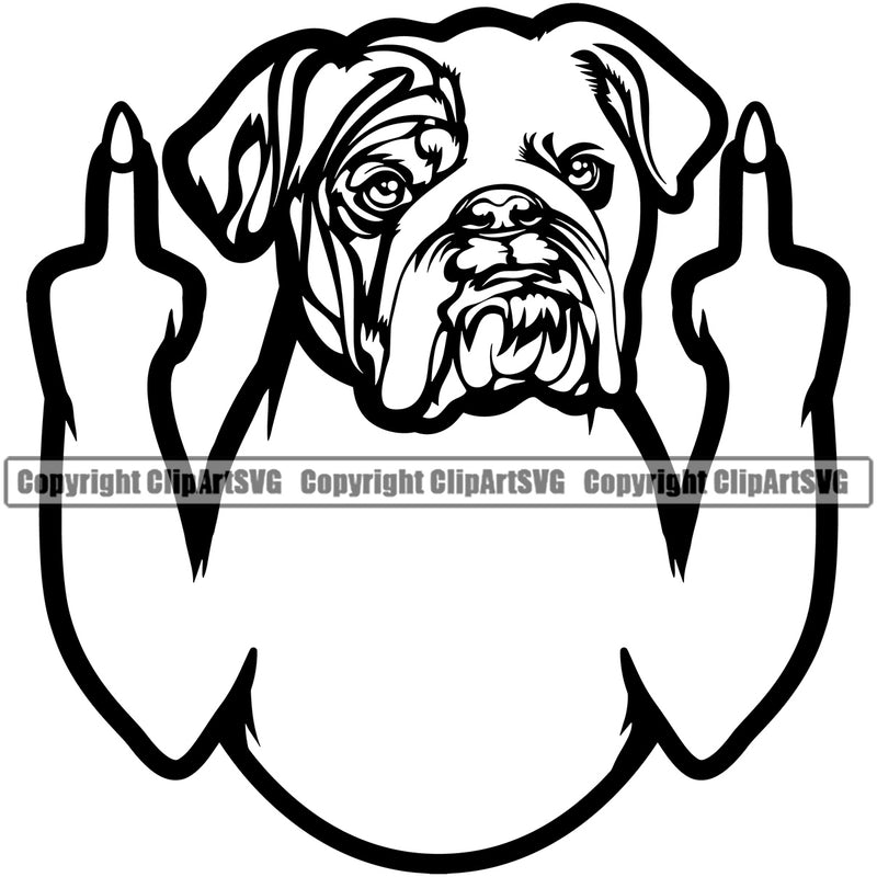 English Bulldog Middle Finger Sign Design Puppy Head Purebred Pup Pedigree Vector Canine K-9 K9 Animal Portrait Clipart SVG