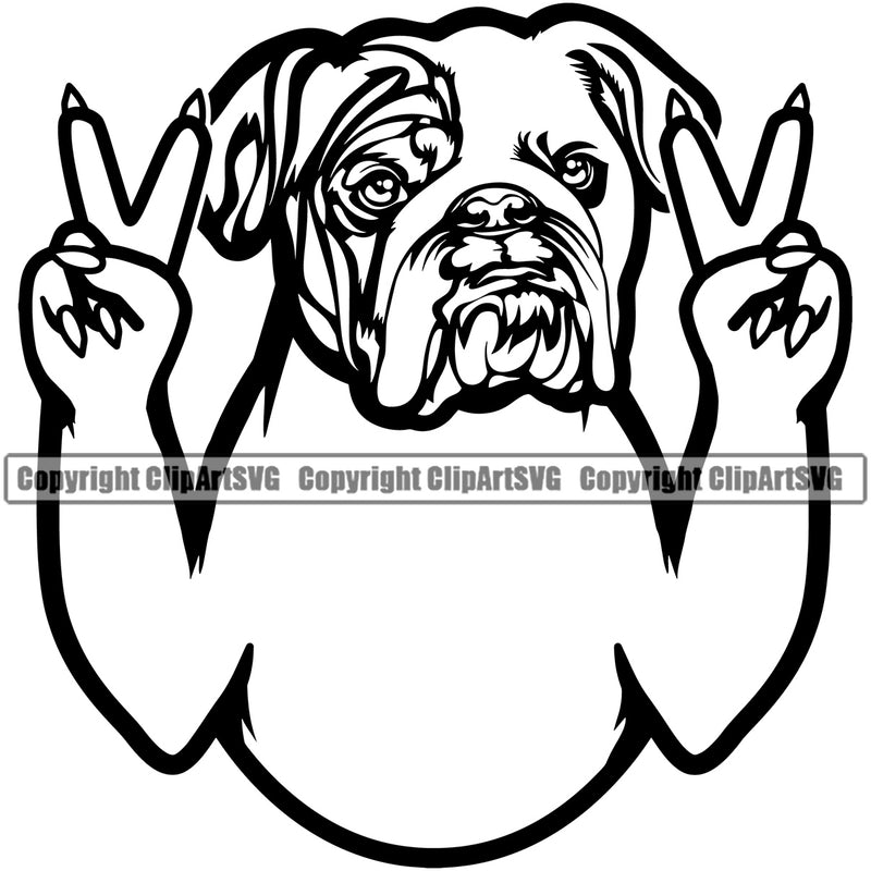 English Bulldog Peace Hand Sign Design K9 Animal Portrait Doggy Face Cute Vector Puppy Head Purebred Pup Clipart SVG