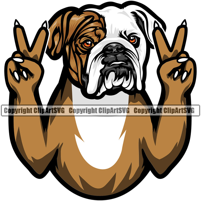 English Bulldog Peace Hand Sign Color Design Puppy Head Purebred Pup Pedigree Mascot Canine K-9 K9 Animal Portrait Clipart SVG