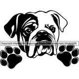 English Bulldog Peeking Design Puppy Head Purebred Pup Pedigree Vector Canine K-9 K9 Animal Portrait Doggy Clipart SVG