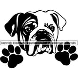 English Bulldog Peeking Black Color Design Canine K-9 K9 Animal Portrait Doggy Mascot Puppy Head Purebred Pup Pedigree Clipart SVG