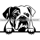 English Bulldog Peeking Black Color Design Puppy Head Purebred Pup Pedigree Vector Canine K-9 K9 Animal Clipart SVG