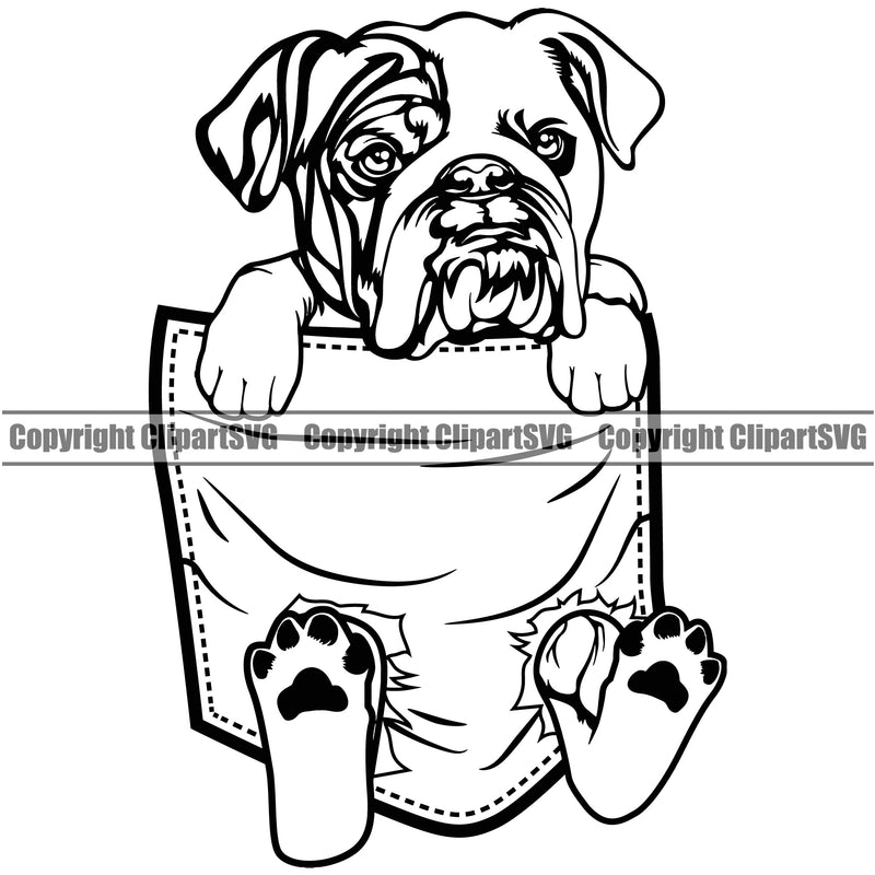 English Bulldog Hanging From Shirt Pocket Design T-Shirt Tshirt Puppy Head Purebred Pup Pedigree Canine Portrait Doggy Clipart SVG