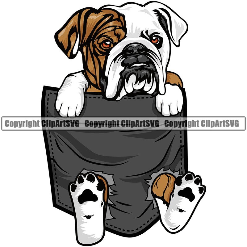 English Bulldog Hanging From Shirt Pocket T-Shirt Tshirt Design Puppy Head Purebred Pup Pedigree Vector Canine K-9 K9 Animal Portrait Clipart SVG