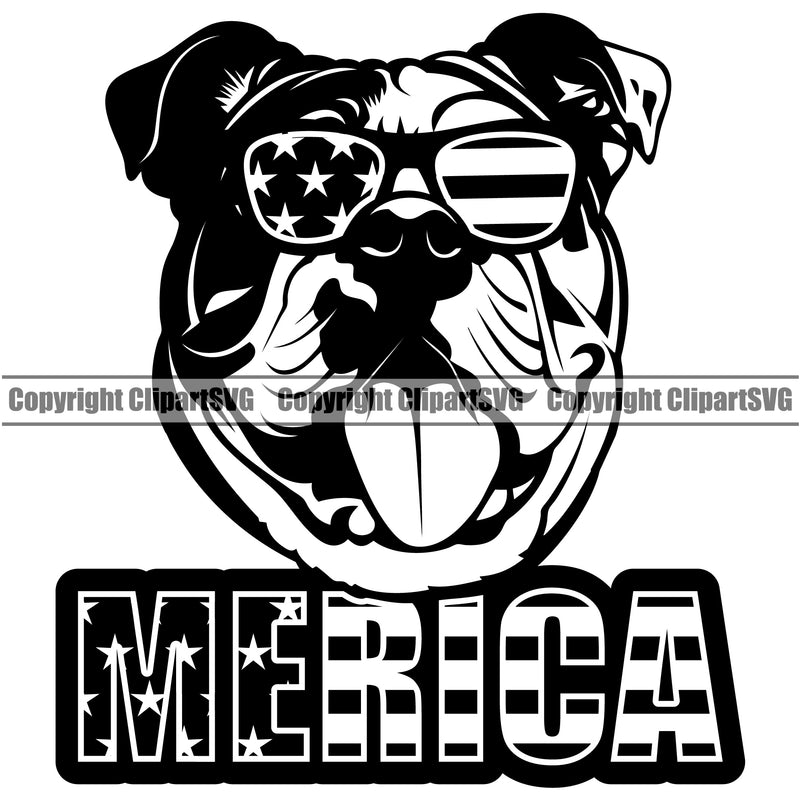 Bulldog Dog Merica Text Wearing Sunglasses Vector Design Happy Smile Face Paw Puppy Pup Pet Purebred Pedigree Vector Design Clipart SVG