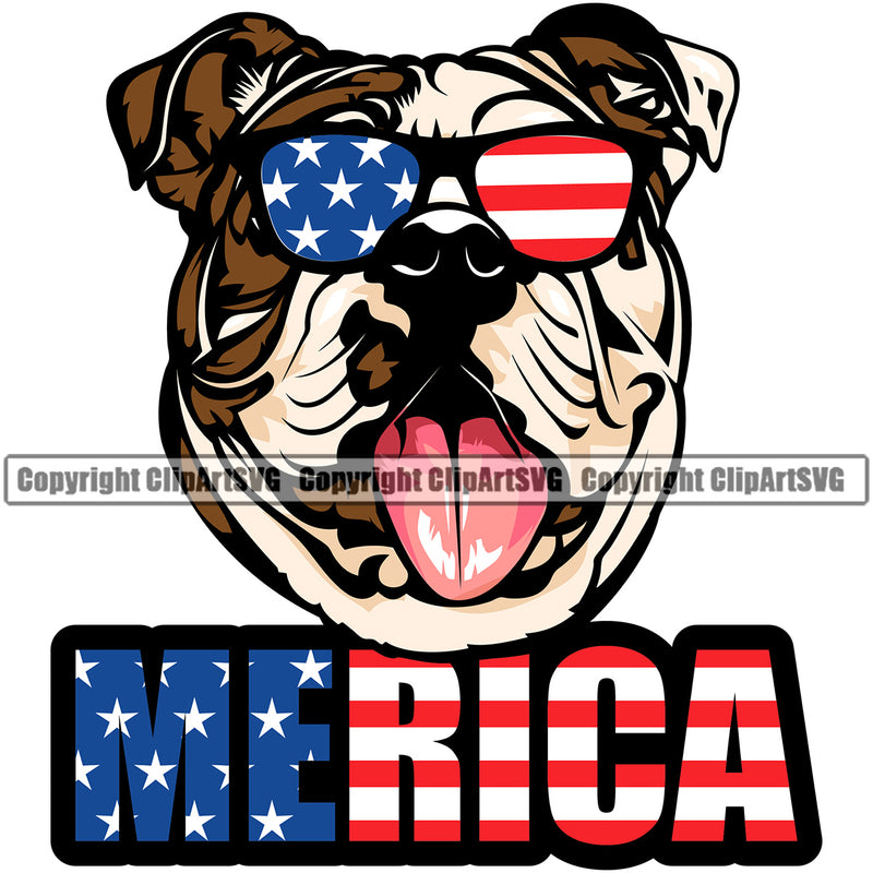 Bulldog Dog Merica Text Wearing Sunglasses Colorful Vector Design Happy Smile Face Paw Puppy Pup Pet Purebred Pedigree Design Element Clipart SVG