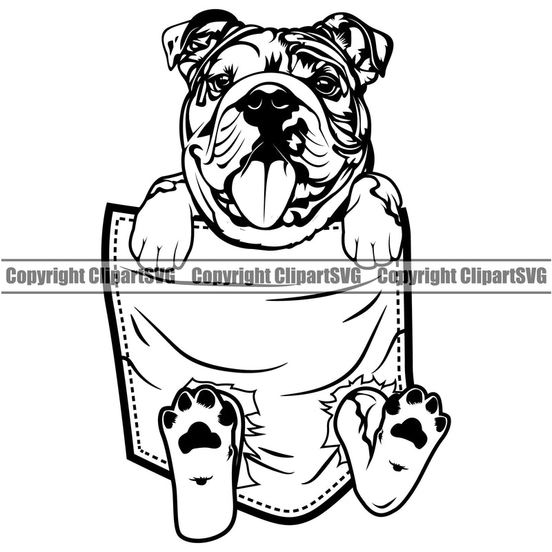 Bulldog Hanging From T-Shirt Pocket Shirt Tshirt Vector Design Happy Face Paw Puppy Pup Pet Purebred Pedigree Design Element Clipart SVG