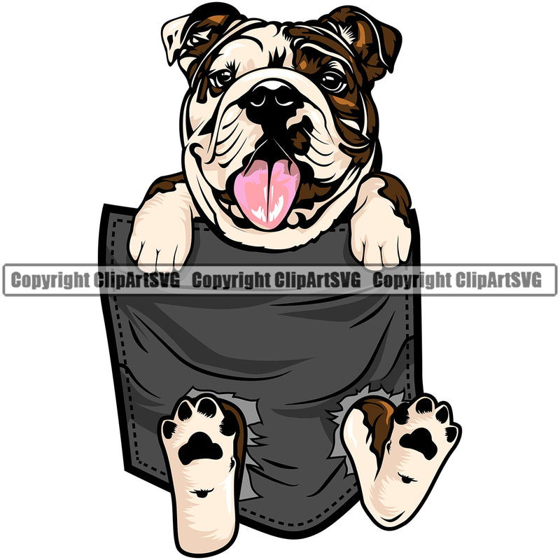 Bulldog Hanging From T-Shirt Pocket Shirt Tshirt Vector Design Happy Smile Face Paw Puppy Pup Pet Purebred Pedigree Vector Design Clipart SVG
