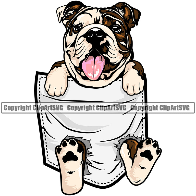Bulldog Colorful Hanging From T-Shirt Pocket Tshirt Shirt Vector Design Happy Face Paw Puppy Pup Pet Purebred Pedigree Vector Clipart SVG