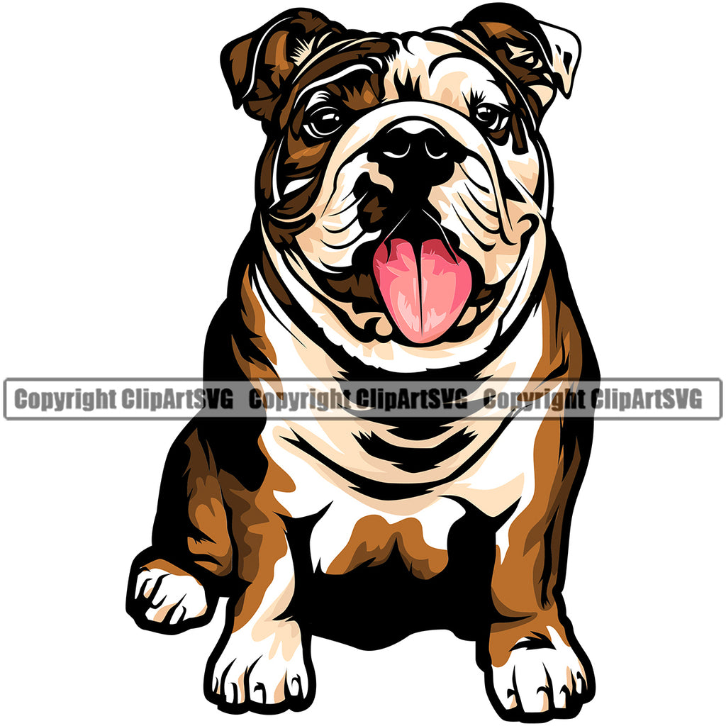 English Bulldog Sitting Colorful Vector Design Puppy Head Purebred Portrait Cute Doggy Face Clipart SVG
