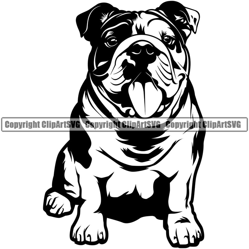 English Bulldog Sitting K9 Animal Portrait Doggy Face Cute Vector Head Purebred Pup Pedigree Clipart SVG