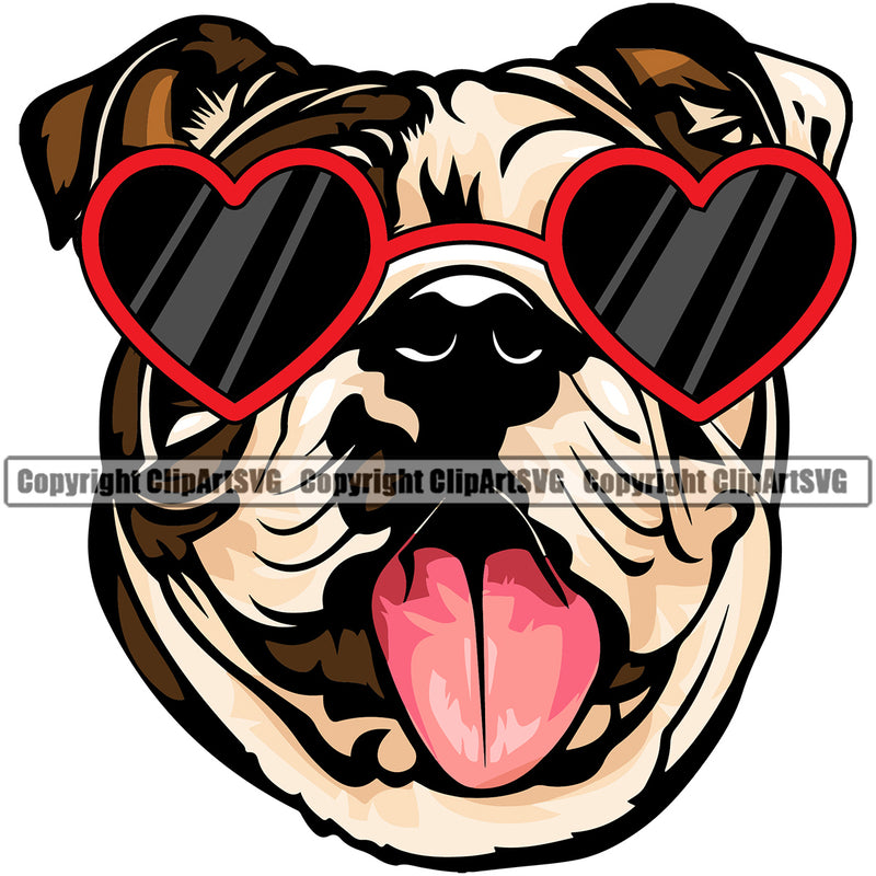English Bulldog Wearing Sunglasses Sun Heart Color Puppy Head Purebred Pedigree K9 Animal Portrait Doggy Face Cute Vector Clipart SVG