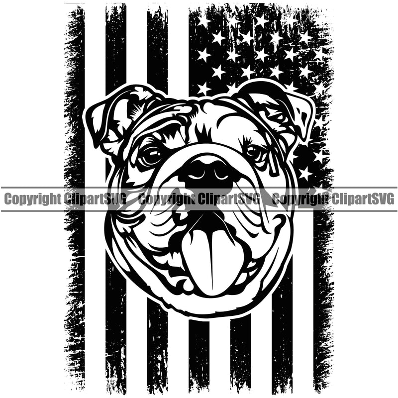 English Bulldog Design USA Flag K9 Animal Portrait Doggy Face Cute Puppy Head Purebred Pup Pedigree Clipart SVG