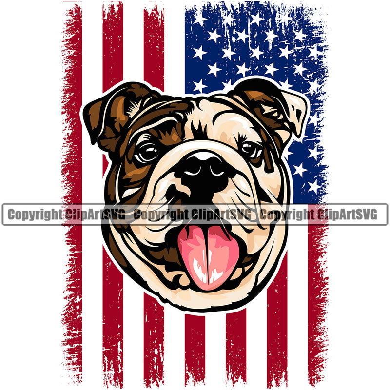 English Bulldog Color USA Flag Puppy Head Purebred Pup Pedigree Vector K9 Animal Portrait Doggy Clipart SVG