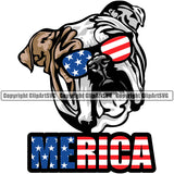 English Bulldog Wearing Sunglasses Color Merica Text Puppy Head Purebred Pup Pedigree Canine K-9 K9 Animal Portrait Clipart SVG