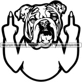 English Bulldog Show Middle Finger Sign Puppy Head Purebred Pup Pedigree Vector Canine K-9 K9 Animal Portrait Clipart SVG