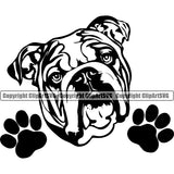 English Bulldog Face Design Peeking Head Puppy Purebred Pup Pedigree Vector Canine K-9 K9 Animal Clipart SVG