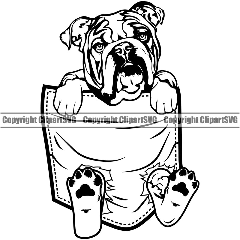 English Bulldog Hanging From Shirt Pocket Puppy T-Shirt Tshirt Head Purebred Pup Pedigree Mascot Canine K-9 K9 Animal Clipart SVG