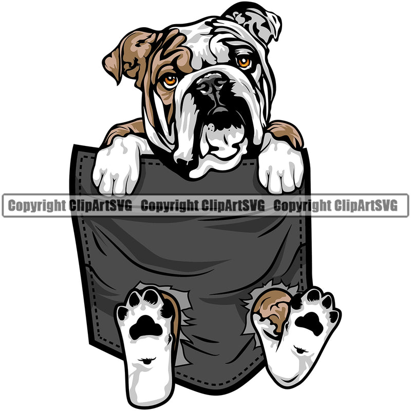 English Bulldog Hanging From Shirt Pocket T-Shirt Tshirt Puppy Head Purebred Pup Pedigree Vector Canine K-9 K9 Animal Clipart SVG