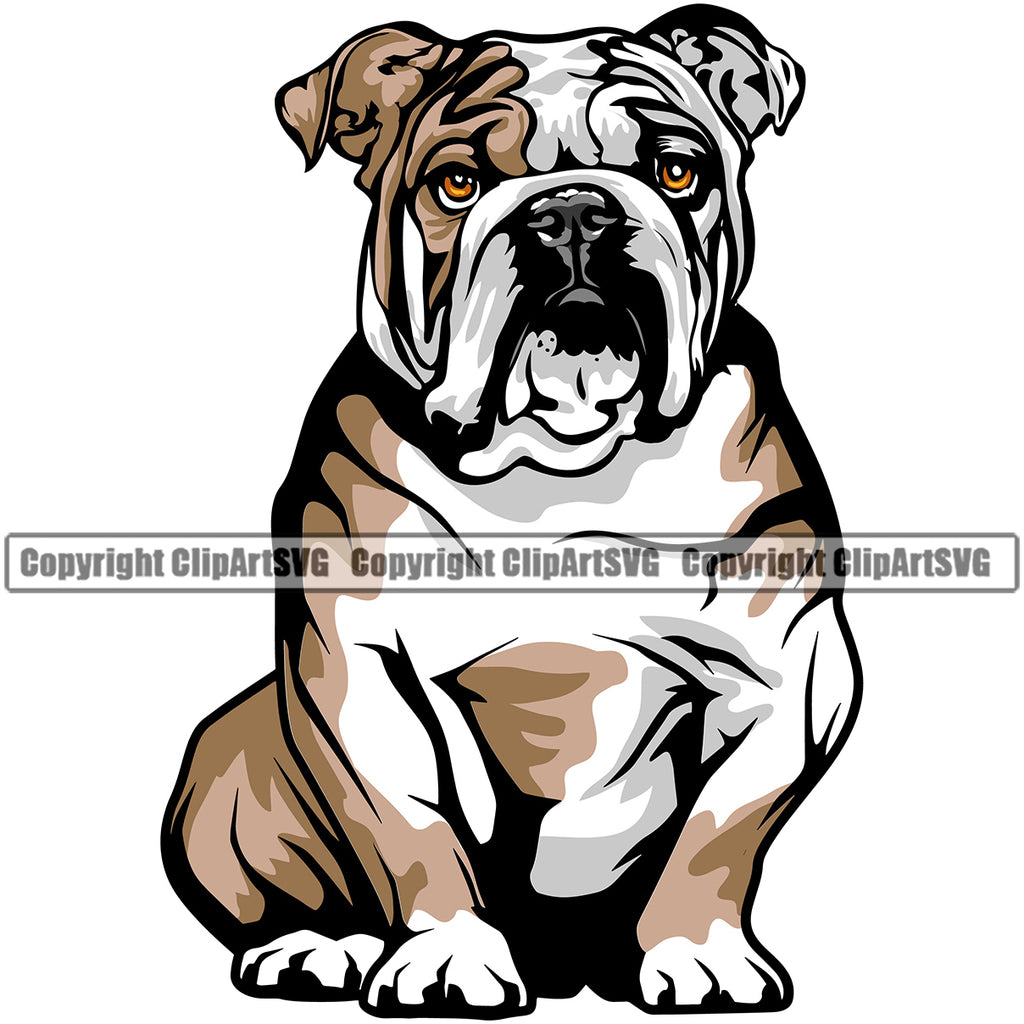 English Bulldog Color Head Puppy Head Purebred Pup Pedigree Mascot Canine K-9 K9 Animal Clipart SVG
