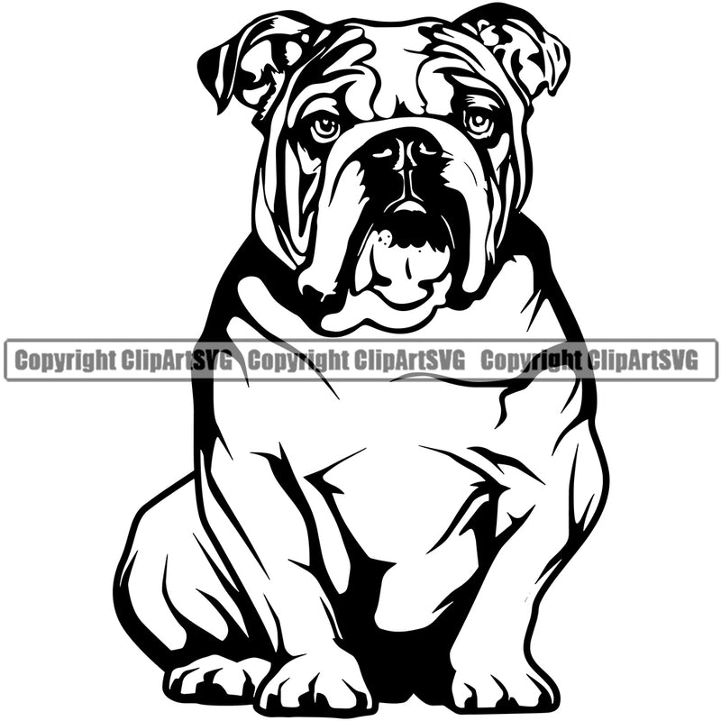 English Bulldog Sitting Puppy Head Purebred Pup Pedigree Mascot Canine K-9 K9 Animal Portrait Clipart SVG