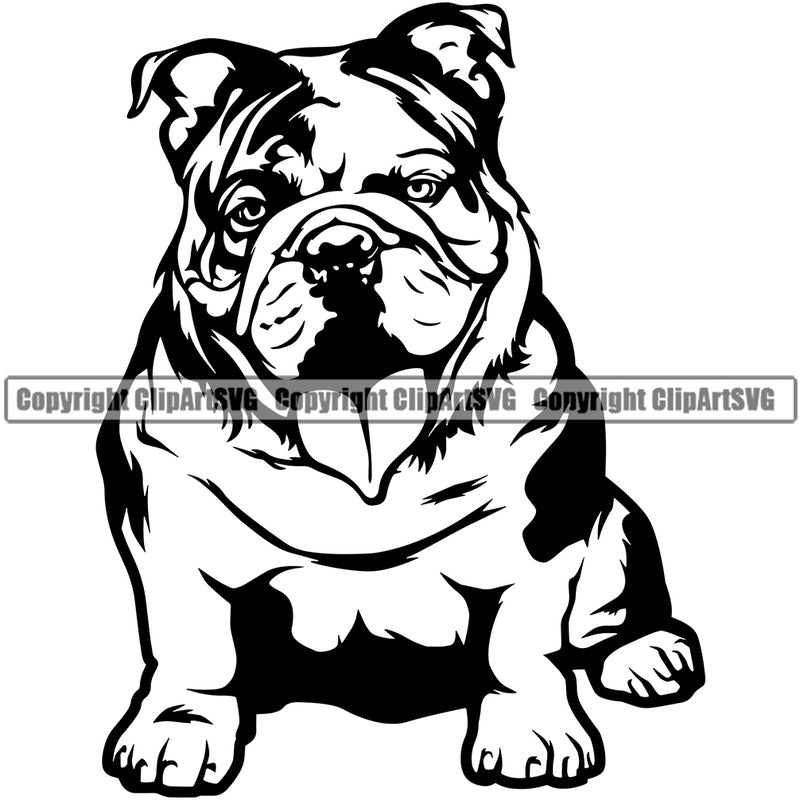 English Bulldog Sitting Vector Design Puppy Head Purebred Pup Pedigree Mascot Canine K-9 K9 Animal Clipart SVG
