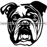 English Bulldog Head Design Puppy Head Purebred Pup Pedigree Vector Animal Portrait Doggy Face Cute Clipart SVG