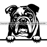 English Bulldog Peeking Design Head Purebred Pup Pedigree Canine K-9 K9 Animal Portrait Clipart SVG