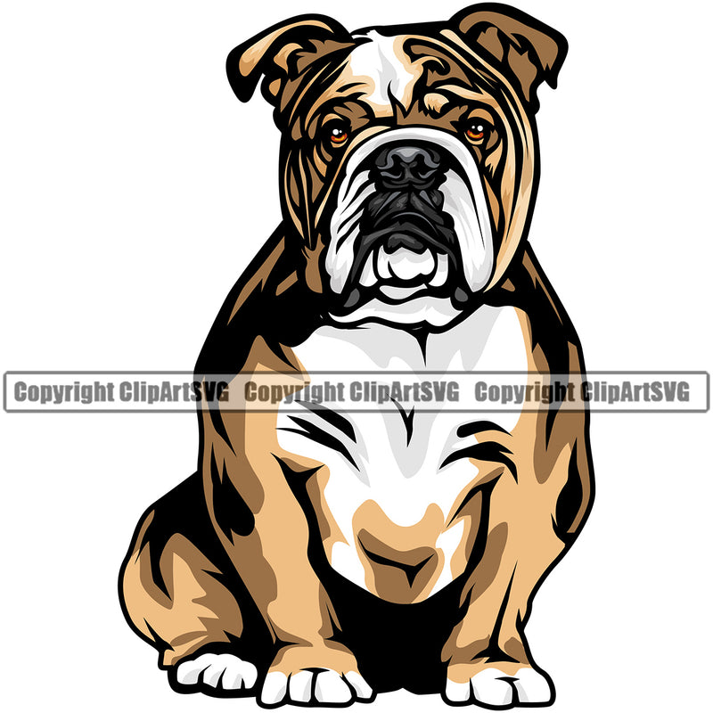 English Bulldog Full Color Body Puppy Head Purebred Pup Pedigree Vector Canine K-9 K9 Animal Portrait Clipart SVG