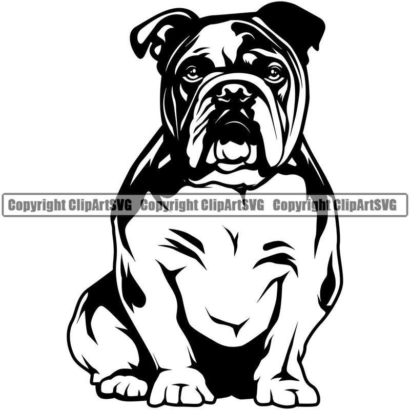 English Bulldog Sitting Puppy Head Purebred Pup Pedigree Canine K-9 K9 Animal Portrait Doggy Face Cute Clipart SVG