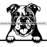 English Bulldog Peeking Design Puppy Head Purebred Pup Pedigree Vector Animal Portrait Doggy Face Cute Clipart SVG