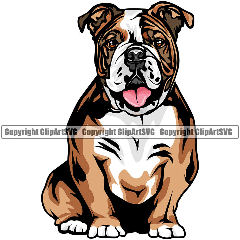 English Bulldog Sitting Color Body Puppy Head Purebred Pup Pedigree Vector Canine K-9 K9 Animal Clipart SVG