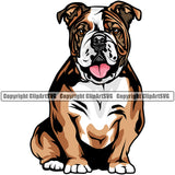 English Bulldog Sitting Color Body Puppy Head Purebred Pup Pedigree Vector Canine K-9 K9 Animal Clipart SVG