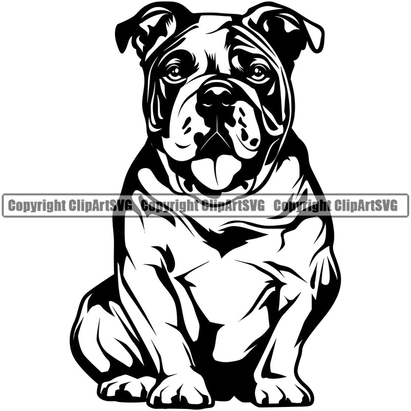 English Bulldog Sitting Design Cute Face Animal Puppy Head Purebred Pup Pedigree Canine K-9 K9 Clipart SVG