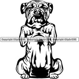 English Bulldog Begging Design Body Puppy Head Purebred Pup Pedigree Vector Canine K-9 K9 Animal Portrait Clipart SVG