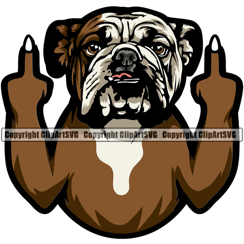 English Bulldog Puppy Head Purebred Pup Pedigree vector Canine K-9 K9 Animal Portrait Clipart SVG