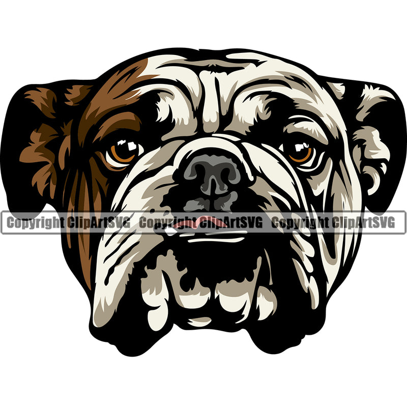 English Bulldog Puppy Head Purebred Pup Pedigree Vector Canine K-9 K9 Animal Portrait Clipart SVG