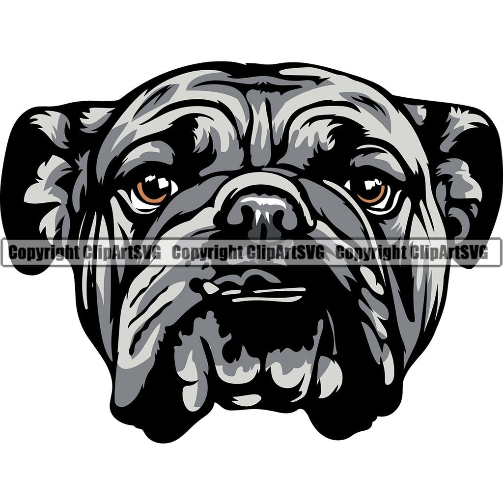 English Bulldog Puppy Head Purebred Pup Pedigree Mascot Canine K-9 K9 Animal Portrait Clipart SVG