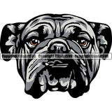 English Bulldog Puppy Head Purebred Pup Pedigree Mascot Canine K-9 K9 Animal Portrait Clipart SVG