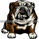 English Bulldog Sitting Design Color Body Puppy Head Purebred Pup Pedigree Vector Portrait Doggy Face Cute Clipart SVG