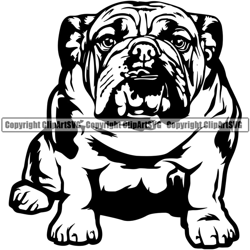 English Bulldog Sitting Design Puppy Head Purebred Pup Pedigree Mascot Canine K-9 K9 Animal Portrait Doggy Clipart SVG