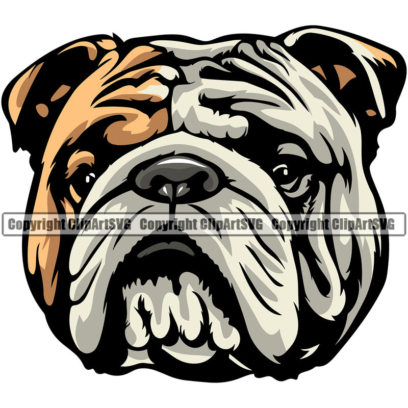 English Bulldog Vector Design Puppy Head Purebred Pup Pedigree Vector Canine K-9 K9 Animal Clipart SVG