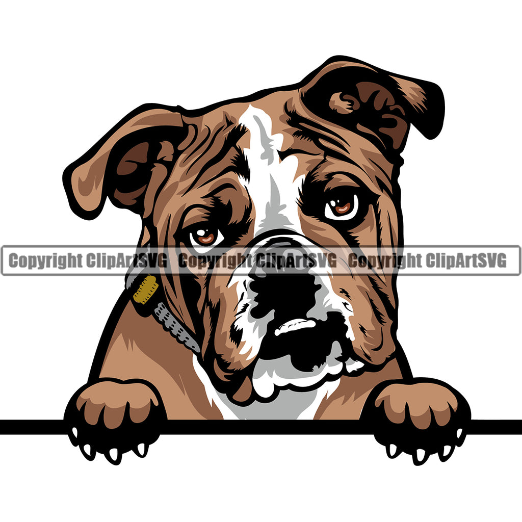 English Bulldog Peeking Design Puppy Head Purebred Pup Pedigree Vector Canine K-9 K9 Animal Portrait Clipart SVG