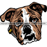 English Bulldog Head Color Design Puppy Head Purebred Pup Pedigree Vector K9 Animal Portrait Doggy Clipart SVG